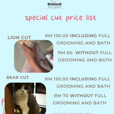 Aristocat 06